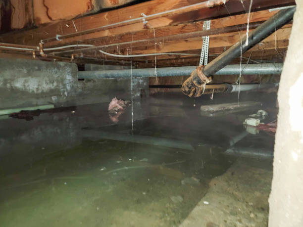 Best Flooded house restoration  in USA